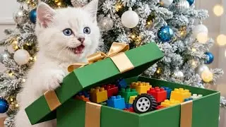 🎁 Mama Cat with Baby Cat Prepare Christmas Gifts for Everyone 🎄🐾