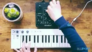 Waldorf Rocket Demo