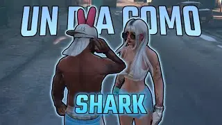 UN DIA COMO SHARK EN DOVUX LIFE 🦈