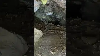 Потерянная золотая жила