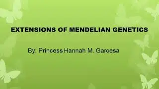 Extensions of Mendelian Genetics
