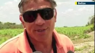 Archeological treasures destroyed for gravel: ancient Mayan pyramid in Belize bulldozed