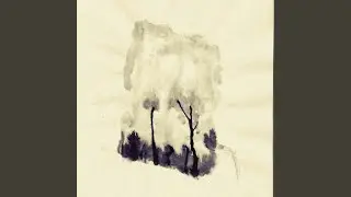 Afraid to Say