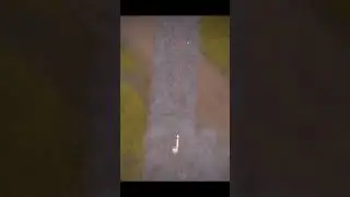 #foxhole #funny #funnyvideo #fuunyshorts #marabu #фоксхол #марабу #смешно