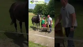 🎥 Tag 79 der 100-Tage-Challenge: Heute gibt&rsquo;s wieder ein Video von Stefan & Esther f&uuml;r Happy Horse!