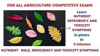 Mineral Nutrition | Nutrient Deficiencies and symptoms | Toxicity symptoms| Role in plants |