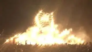 Electric Zoo 2016 - Wild Island