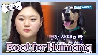 We're rooting for Huimang's change and growth [Dogs are incredible : EP.187-3] | KBS WORLD TV 230919