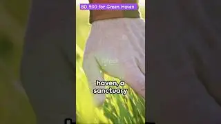 BD 500 for Sustainable Green Haven #viral #shorts #sustainable_agriculture #agriculture #biodynamics