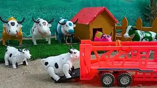 WADIDAU ‼️PROSES POTONG SAPI KURBAN #205