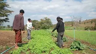 #အလုပ်ကြိုးစားကြပါ  #အမှားပါရင်ခွင့်လွတ်ပါ#အားပေးသူတိုင်းကိုကျေးဇူးတင်ပါသည်