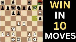 5 Very Tricky chess traps you must know!!!