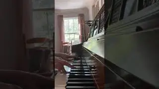 Wii Sports theme