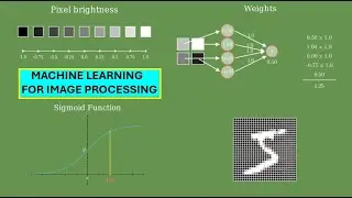 Image Recognition for Beginners: Step-by-Step Guide