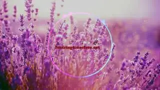 Download Thats What I Like (Marimba Remix) ringtone | Best Ringtones download Free for mobile
