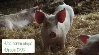 Mini reportage / La ferme de Vernas