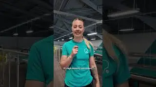 What is GLC class at PureGym like?