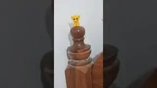 The lions sabertooth cub READ DESC