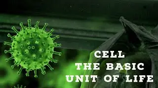 CELL  .. THE BASIC UNIT OF LIFE# Bridge course #Science Innovators