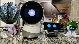 LOOI & Friends - Saturday Robot Chat (Long Live Jibo 👑)