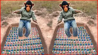 Survival Skills: SMART idea and USEFUL with Joker and King Kong Funny Video in forest #survival