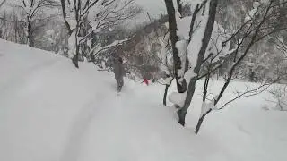Kiroro tree run - last run 17 February 2023