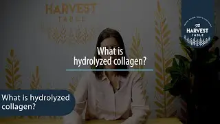 What is hydrolyzed collagen?