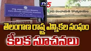 Telangana State Election Commission Key Instructions Over Manifesto For Local Body Elections | TV5