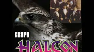 Grupo Halcon- Tu