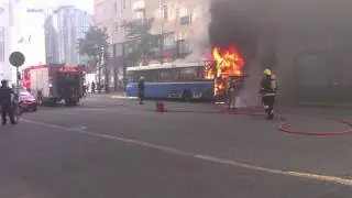 Palava bussi helsingissä 8.8.2011