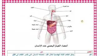 التشريح.. الجهاز الهضمي .. الجزء الاول..معهد التمريض