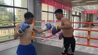 Fight with every punch and build a body of steel.
