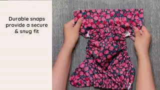 How to put on Mama Koala 2 0 Cloth Diaper