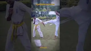 kyokushin fight for practice ! #kyokushin #mma #ufc #khabib