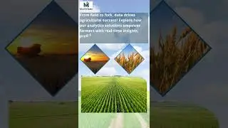 McKinsey Big Data Analytics | field analysis | agriculture analytics