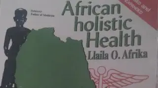 Why Black Folks Must Learn From Afrocentric Teachings!! Dame goes in! African Holistic Health! 🔥