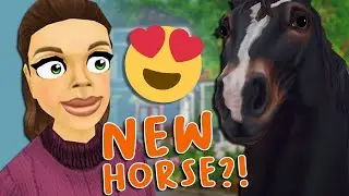 NEW Percheron Horse!? | SPOILER! | Star Stable Online
