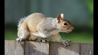 Pest Control Toronto Prices | Pest Control Cost in Toronto