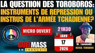La Question des Toroboros: Instrument de Repression du R&eacute;gime ou Intrus de l'Arm&eacute;e Tchadienne?