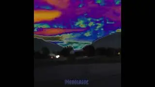 Polarised
