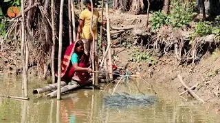 Amazing Easy Fish Trap | Unique Fish Trap with Primitive Technology | Unique Easy Fish Trap System