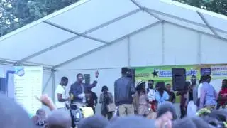 Ghana Party In The Park 2011