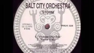 Salt City Orchestra - Storm (Thunder Clap Dub)