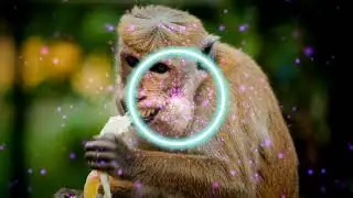 (NO COPYRIGHT)Digital World - Background Music For Videos