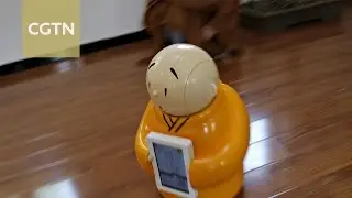 Robot monk spreads Buddhist teachings in Beijing