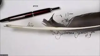 Pilot Capless Decimo Italic 0.9 Stilografica - Ernesto Casciato - C.S.R. Fountain Pen