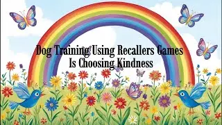 Dog Training Using Recallers Games Is Choosing Kindness