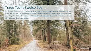 Trage Tocht Zwolse Bos