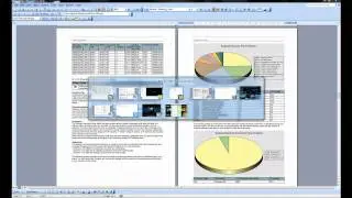 SAP TechEd 2011 Teaser - ALM105