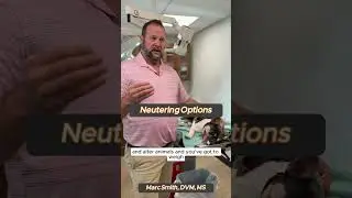 Neutering Options: What You Need to Know by Marc Smith, DVM, MS
